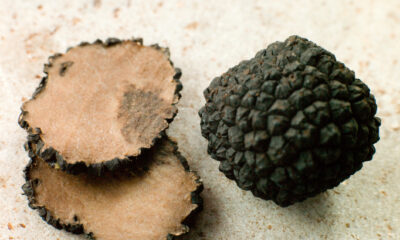 Tartufo estivo o scorzone