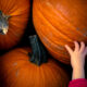 I sandwich di Halloween per bambini.