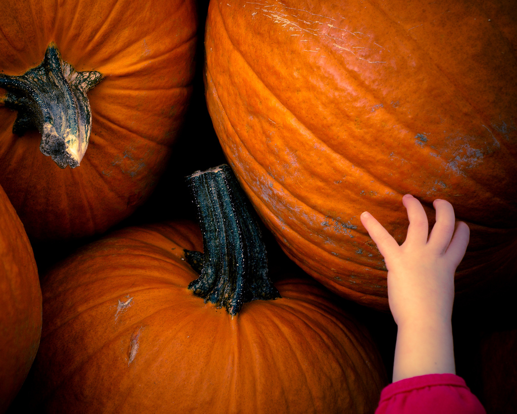 I sandwich di Halloween per la festa dei bambini: le ricette