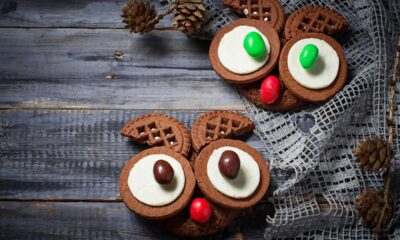 Biscottini a forma di gufo