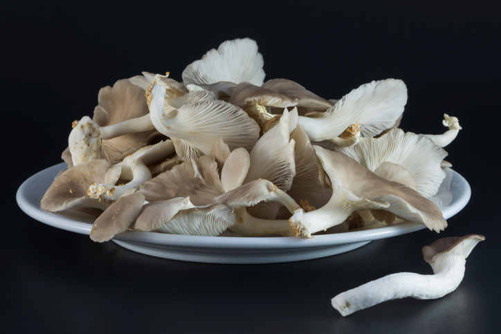 Le cotolette di funghi con la ricetta vegan