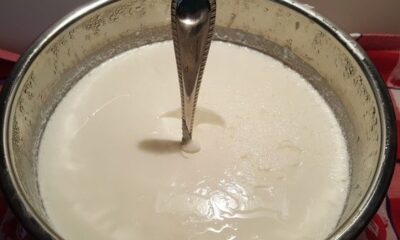 Lo yogurt greco fatto in casa con la ricetta economica