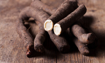 5 ricette vegane con scorzonera