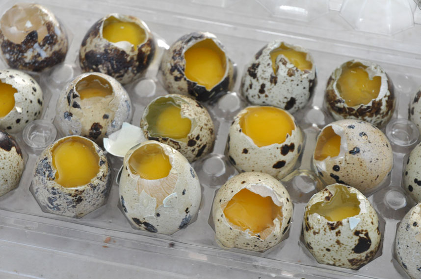 Come si cucinano le uova di quaglia