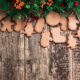 5 ricette di biscotti per l'albero di Natale