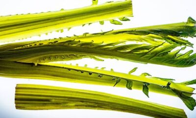La zuppa di cardi abruzzese con la ricetta della tradizione