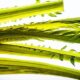 La zuppa di cardi abruzzese con la ricetta della tradizione