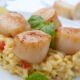 risotto alle capesante
