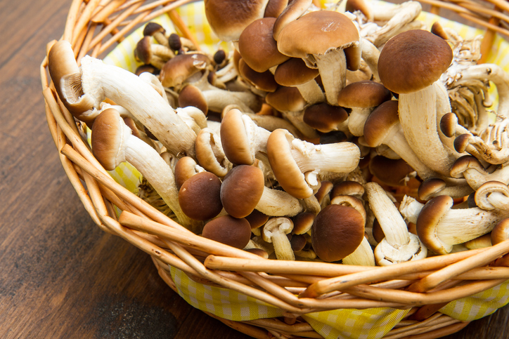 I maltagliati con funghi chiodini, la ricetta del primo di stagione