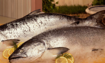 Come cucinare il salmone intero: 5 ricette facili