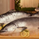Come cucinare il salmone intero: 5 ricette facili