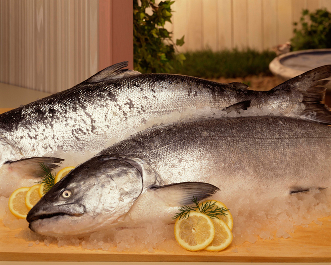 Come cucinare il salmone intero: 5 ricette facili