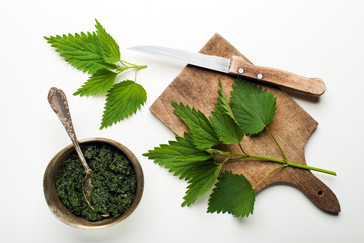 Il pesto di ortiche e noci per condire la pasta in modo originale