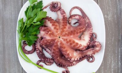 Come cuocere il polpo