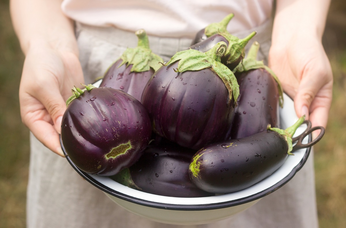 Chips di melanzane: la ricetta light e veloce