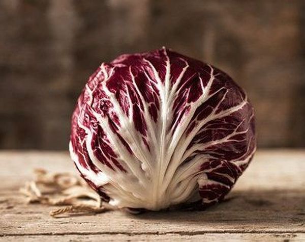 Radicchio di Chioggia: cos&#8217;è e come usarlo in cucina