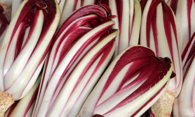 Ricette con il radicchio di Treviso