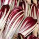 Ricette con il radicchio di Treviso