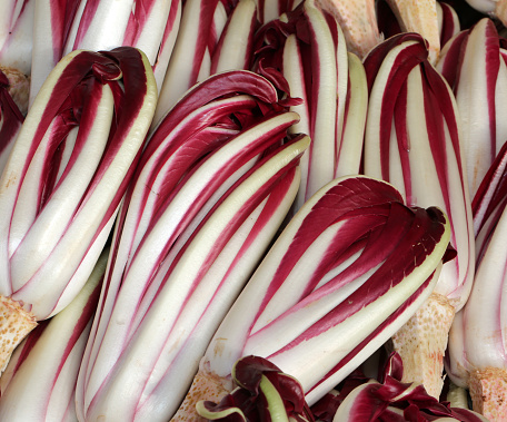 Il radicchio di Treviso e le migliori ricette da provare