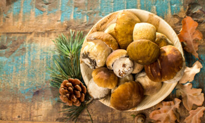 8 ricette per un pranzo a base di funghi porcini