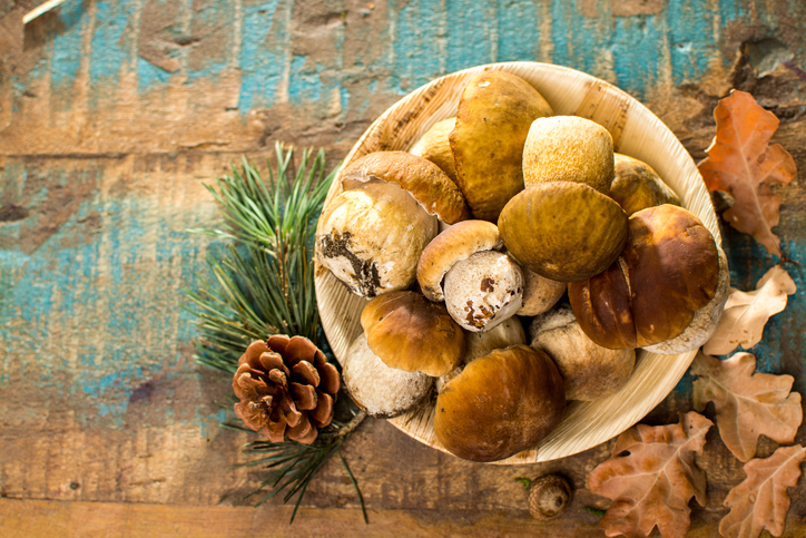 8 ricette per un pranzo a base di funghi porcini