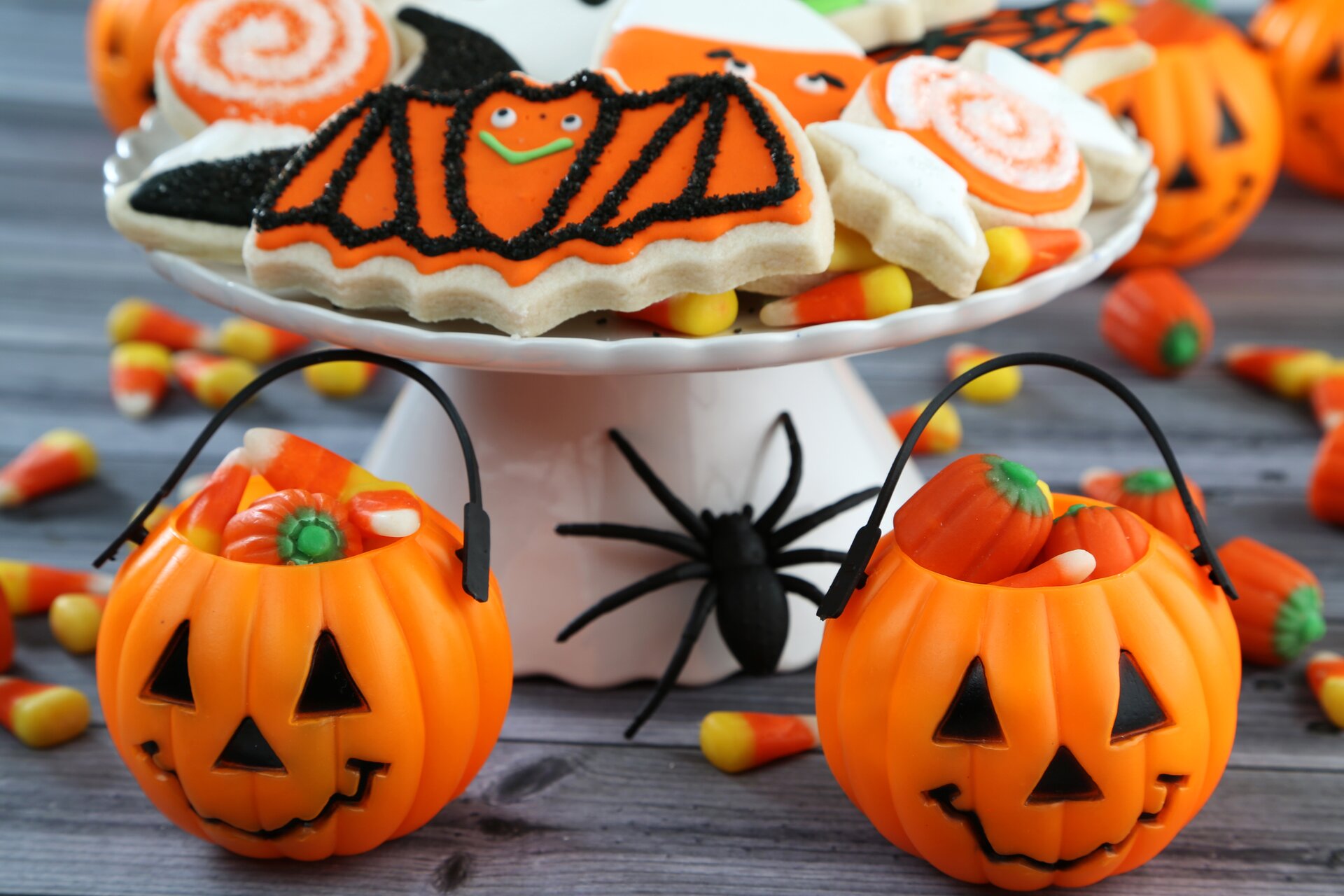 I pipistrelli al cioccolato da fare con i bambini per Halloween