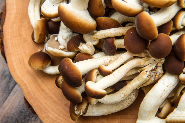 Funghi chiodini, le ricette più sfiziose