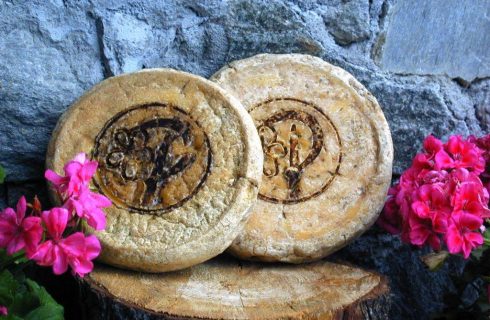 Il ritorno del Plaisentif “formaggio delle viole” tra tradizione e impegno