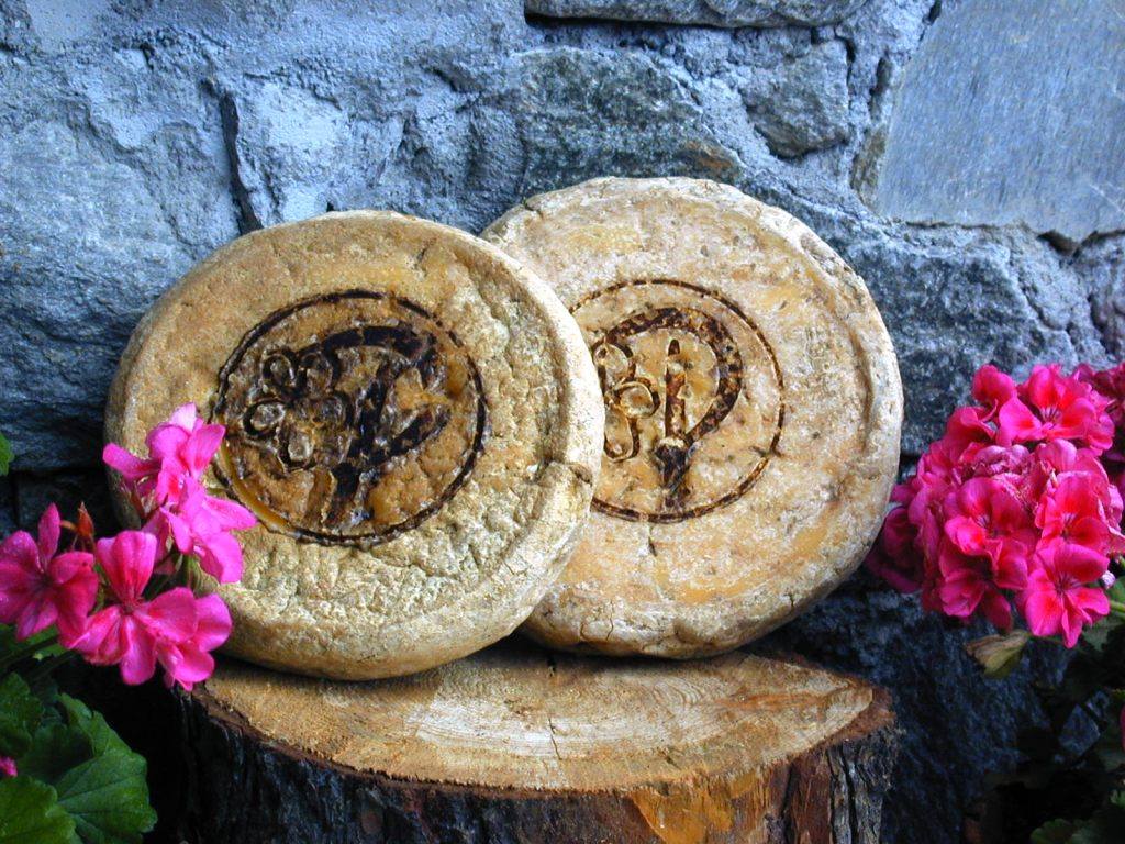 Il ritorno del Plaisentif “formaggio delle viole” tra tradizione e impegno