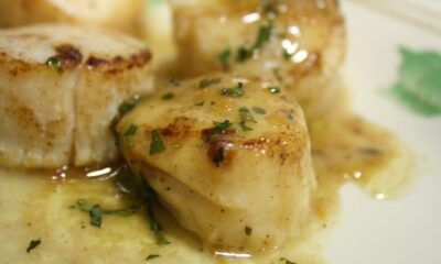 Capesante con salsa allo zafferano