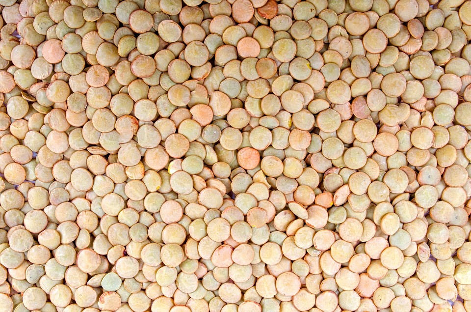 Maxi sequestro di false lenticchie di Altamura prodotte in Cina, Canada ed Egitto