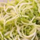 Insalata di puntarelle e sgombro, la ricetta di Cotto e Mangiato