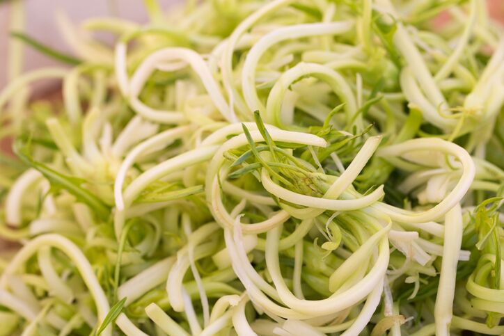 Insalata di puntarelle e sgombro, la ricetta di Cotto e Mangiato