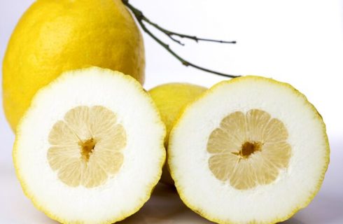 Insalata di limoni procidana, la ricetta sfiziosa