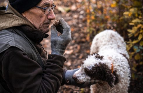 Il vademecum del tartufo secondo Deliveristo: regole e consigli dalla terra alla tavola