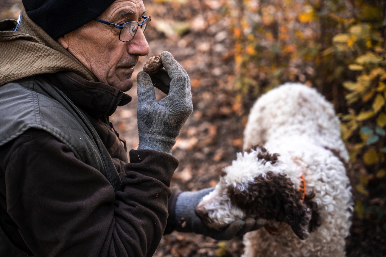 Il vademecum del tartufo secondo Deliveristo: regole e consigli dalla terra alla tavola