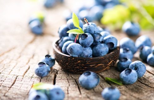 Bocconcini di Mirtilli e Yogurt: lo spuntino estivo salutare
