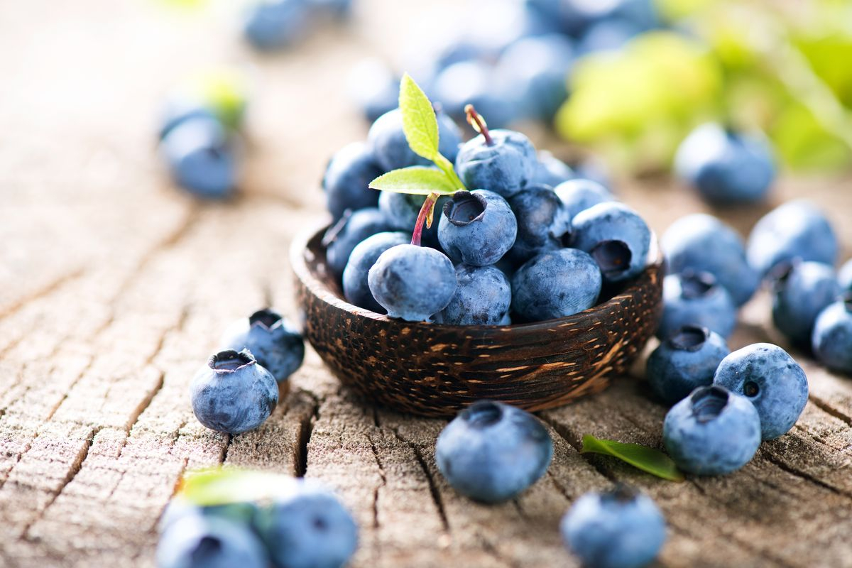 Bocconcini di Mirtilli e Yogurt: lo spuntino estivo salutare