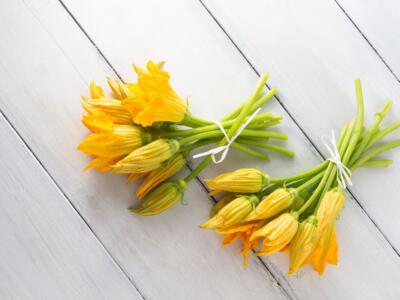 Le ricette con i fiori di zucca da provare