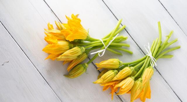 Le ricette con i fiori di zucca da provare