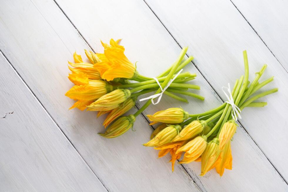 fiori di zucca