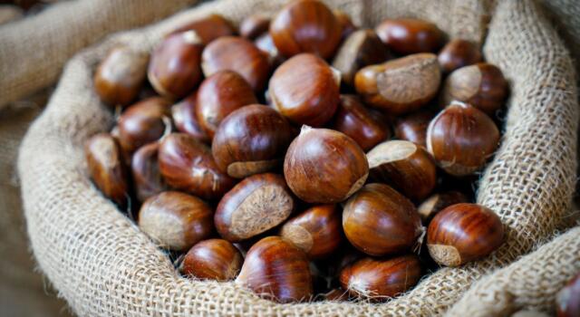 Come cuocere le castagne al microonde