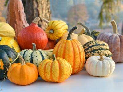 Ricette con la zucca, il frutto autunnale per eccellenza