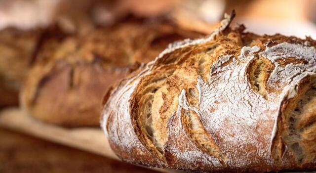 Come fare il Pane di Kamut con il Bimby