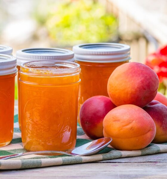 marmellata di albicocche