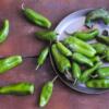 Come cucinare i friggitelli: idee e ricette