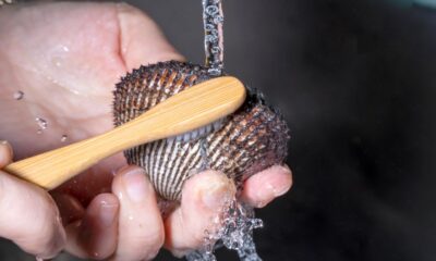 Come pulire le vongole