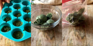 Cubetti di basilico: come conservare la pianta aromatica in due mosse (con foto e video)