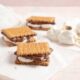 S'more, i dolcetti americani con il marshmallow per il campeggio