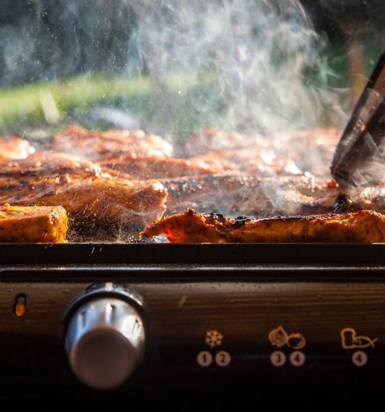 Barbecue elettrico per grigliata